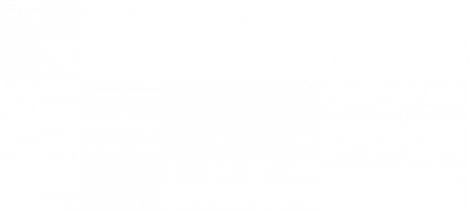 Oracle Netsuite - ERP Partner